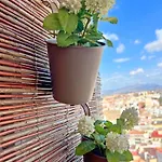 New Skyline & Terrace Appartement