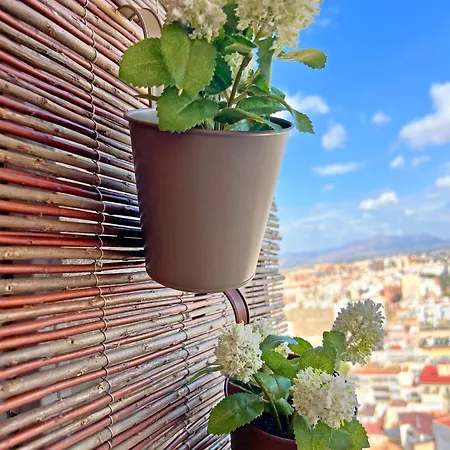 New Skyline & Terrace Apartment