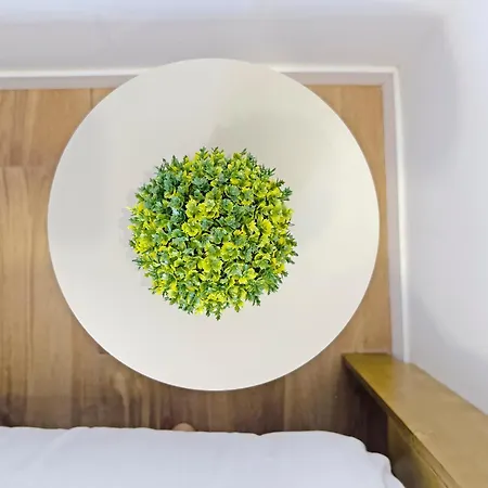 New Skyline & Terrace *